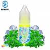 Aroma Icee Mint 10ml by Fruizee Eliquid France