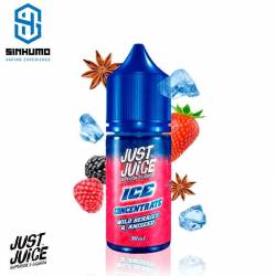 Aroma Wild Berries Aniseed 30ml by Just Juice