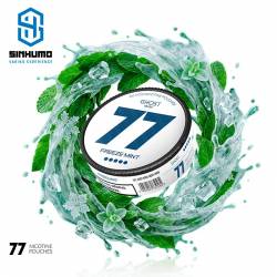 Bolsa de Nicotina Freeze Mint 20MG GHOST MINT by 77 Nicotine Pouches