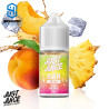 Aroma Peach Pineapple 6ml Longfill by Just Juice