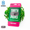 Tooth Picks Fresh Mint 10MG by Drifter